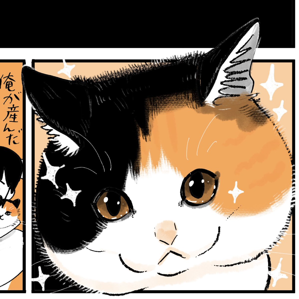 今月の猫漫画描けた〜
次は読み切りの原稿描く。
早く読まれたい。 