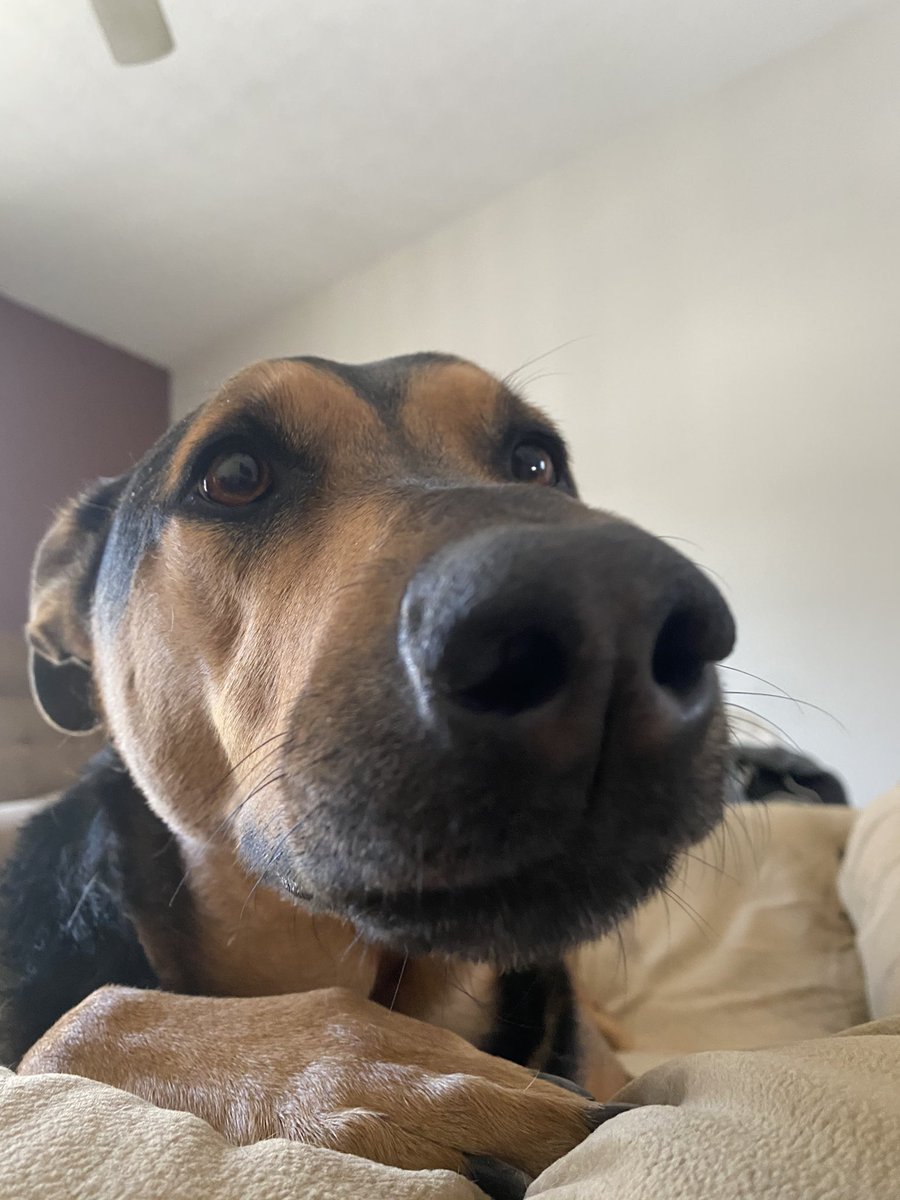 Troy 🍞 tweet media