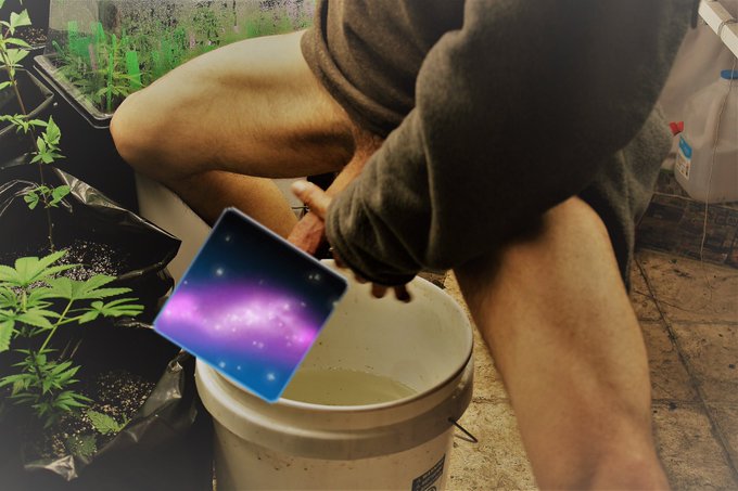 Lock Slayda’s pics and videos