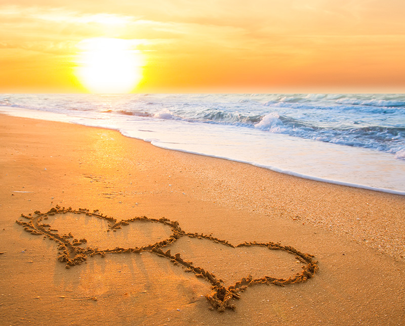MarCoEquip's tweet photo. Happy Valentine's Day! ❤️❤️❤️❤️
#valentinesday #happyvalentinesday #valentines 
#beourvalentine #love https://t.co/f1a8QL9U0t
