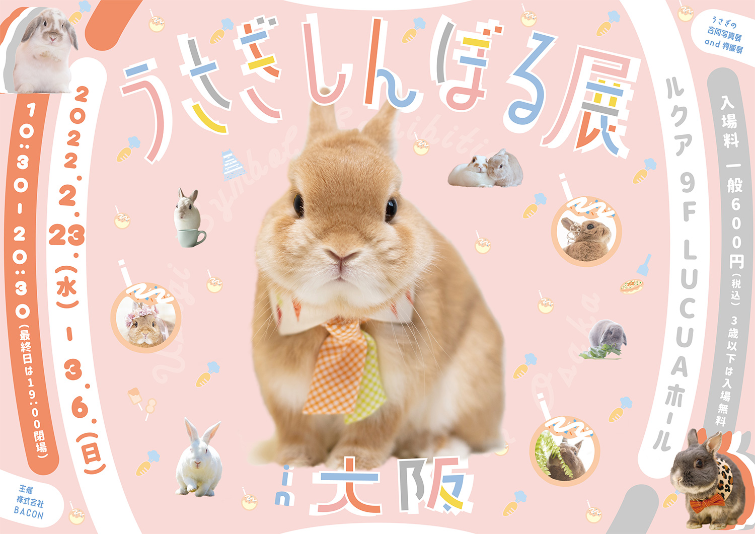 Peter うさぎしんぼる展 Peterpom211 Twitter