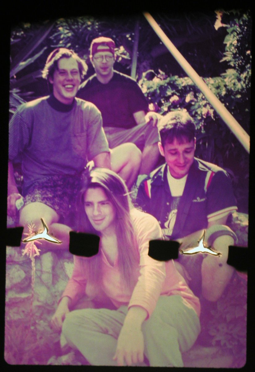 Weezerpedia tweet media