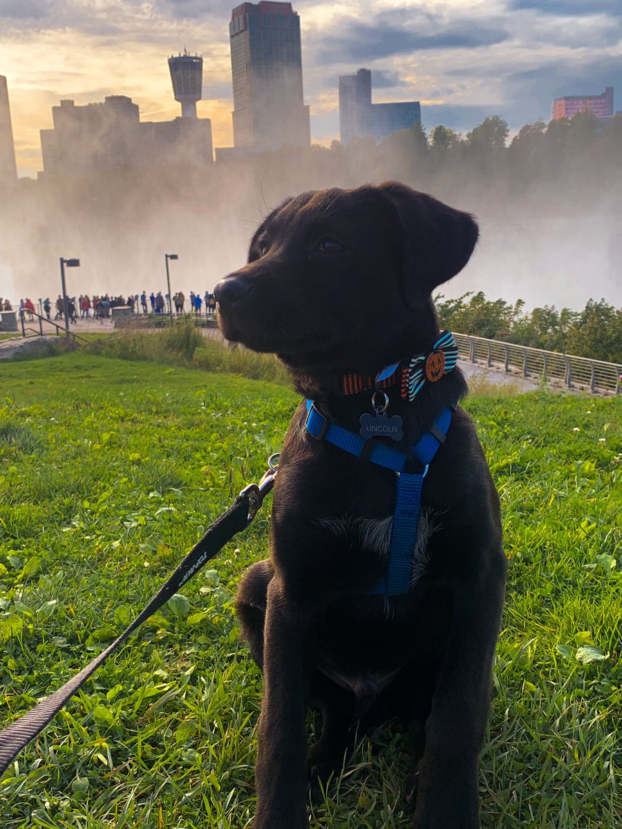 Lincoln would send shanae home on this date #TheBachelor