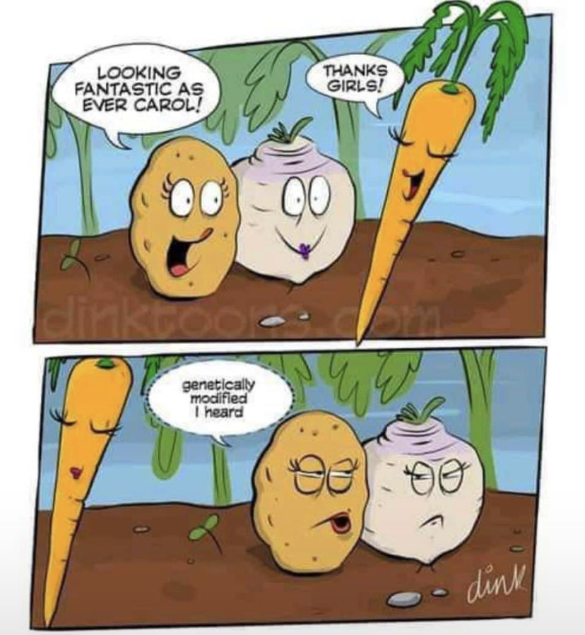 kal_termo's tweet photo. This just made my day, plants mu konkonsa ( Gossip plants😂). https://t.co/i98Ldm5Ns7