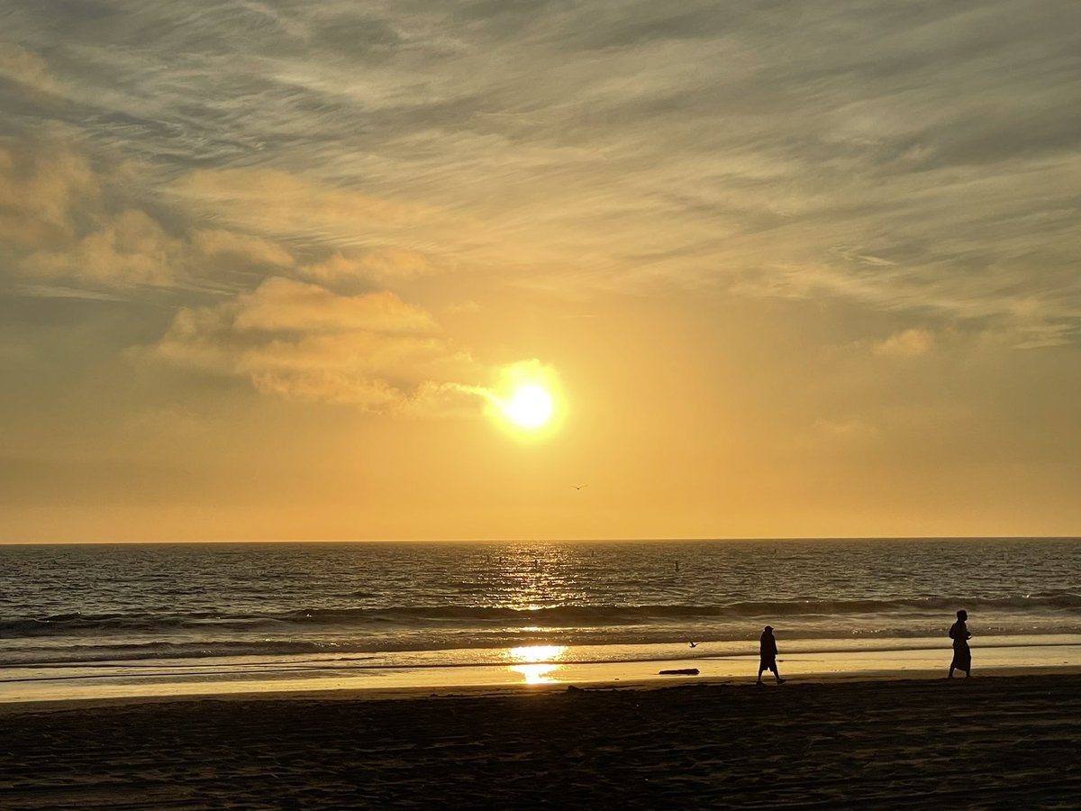 Shane McInnes tweet media