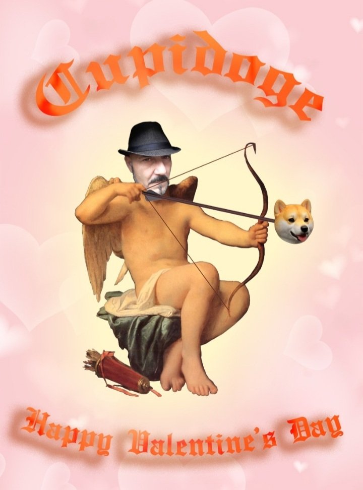 Cupidoge's tweet photo. Goodnight Family #Musk #ElonMusk #Tesla #Spacex #Doge #Dogecoin #Dogeall #All #SnoopDogg, I know I hit people who needed them with arrows, I'll shoot more tomorrow, and tomorrow, and the day after tomorrow, they're so endless 😇 ❤, joke my arm hurts a little. https://t.co/uH5SNuUqA7