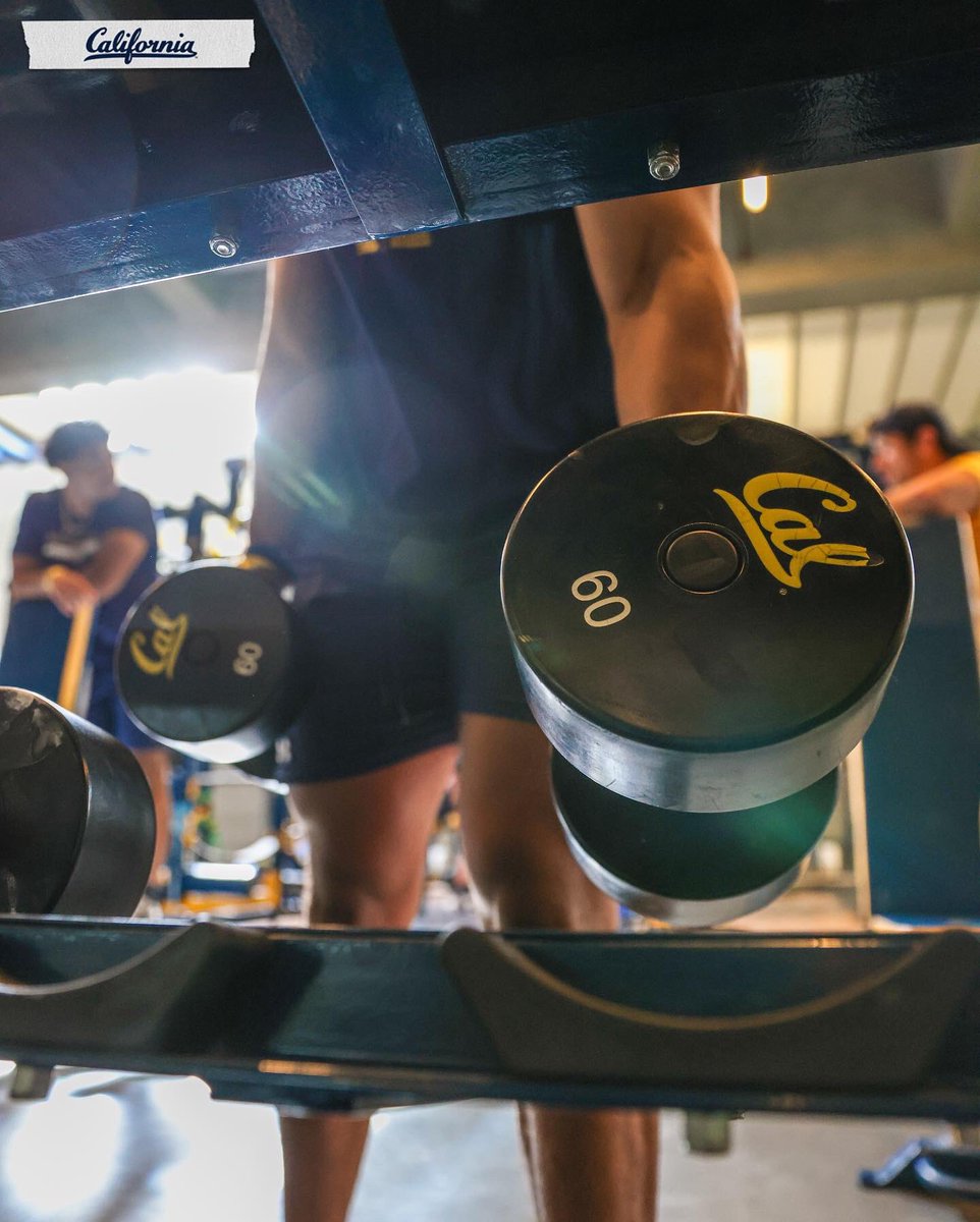 Pain ➡️ Purpose #GoBears