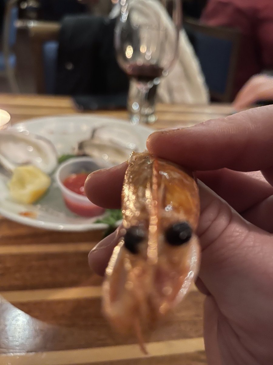 𝛂Ͼ𝕚đD̷͉̰͐̊̋̀͠ɘෆ❍𝕟 tweet media