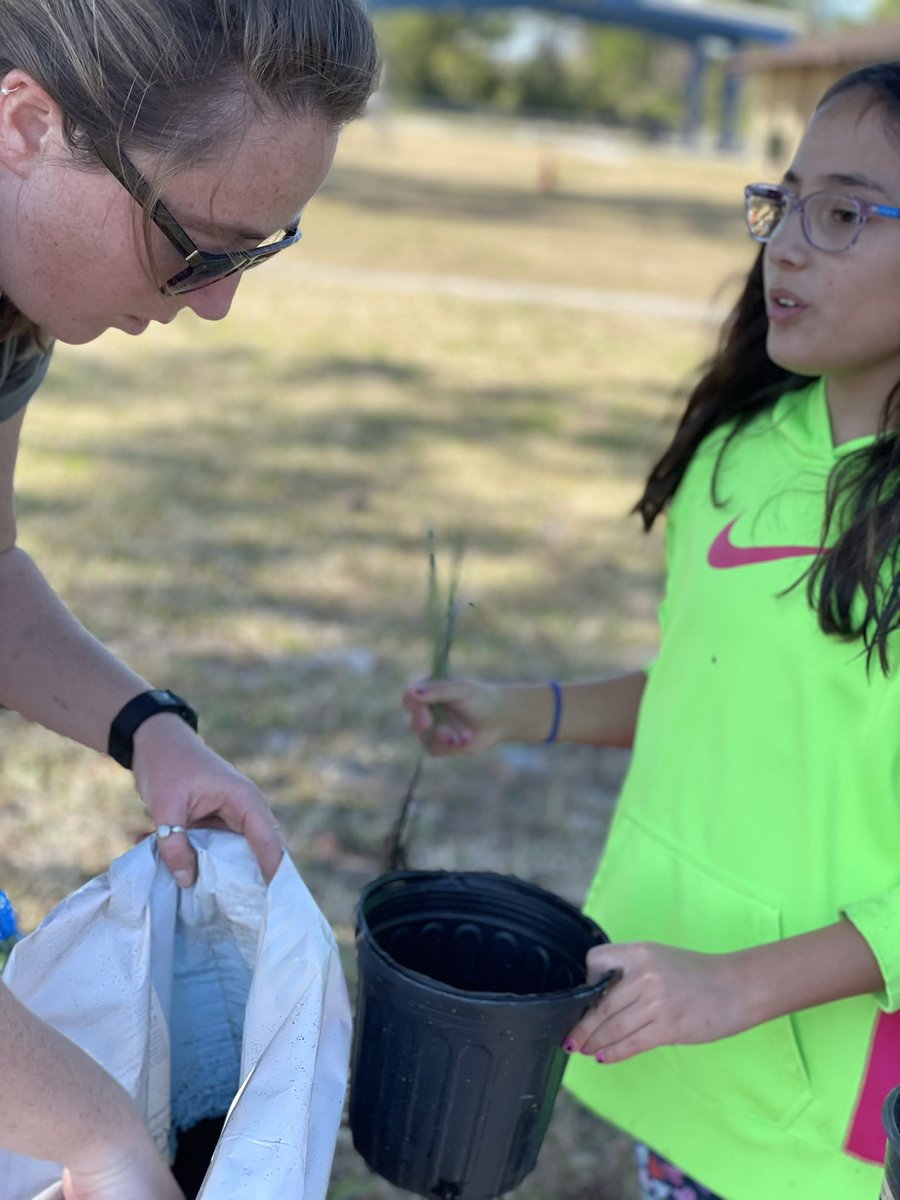 Shout out to Tess and MDC <a href="/MarineDiscov/">MarineDiscoveryCtr</a> as we continue our Schools to Shoreline initiative! Step 2 was to plant sea grasses that we will care for and grow in the hopes of helping to restore damaged shorelines in our area. <a href="/amhall814/">Andrea Hall</a> <a href="/amyrichardson99/">Amy Richardson</a> <a href="/ElemSci/">VCSElemSci</a>