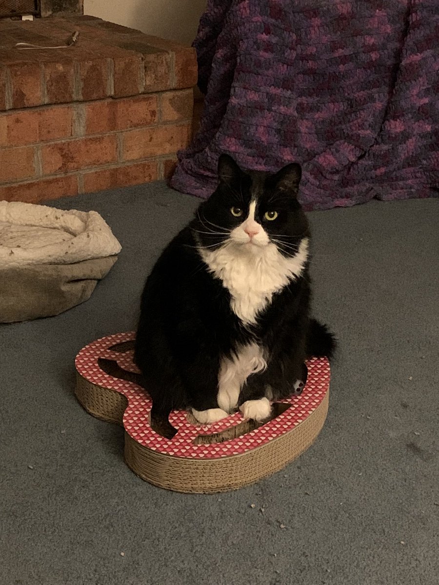 Happy Valentine’s Day!