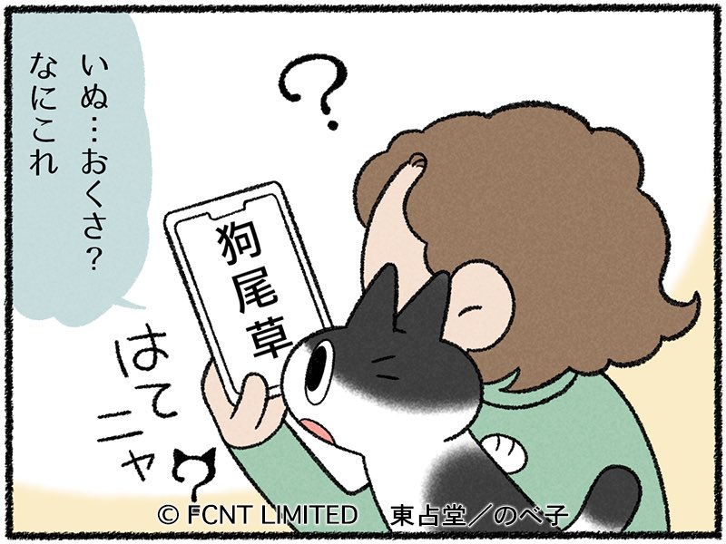 マメトクちゃんたちの3話が更新されました!🐈‍⬛🐈
この漢字なんて読むの?なお話です🐱💦
続き&正解は↓
https://t.co/zUIRwIphuS

#マメとトクのひだまり日記
 #らくらくまめ得 #猫 