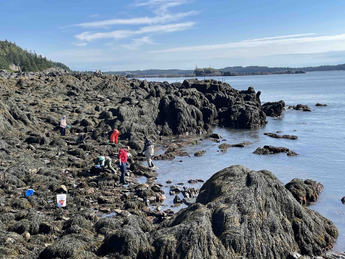 Job! TT asst prof in Aquatic Functional Biology <a href="/UNBSaintJohn/">UNB Saint John</a>. Ecotox, physiology, biochem, biomech, evo-devo etc. Our dept is strong in research &amp; collegial. Reasonable teaching load instructing great undergrads. Life is good on E coast! DM me Qs. Pls RT. bit.ly/3oOSRF1