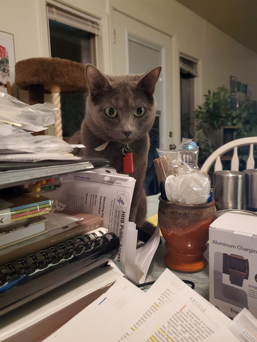 Ashley Tucker tweet media