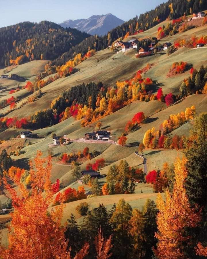 Outono. 
Norte da Itália.