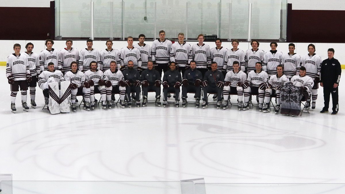 AugsburgAuggies's tweet photo. A Valentine's Day poem:

Roses are red,
Violets are blue,
Looking for MIAC titles?
Hey, Augsburg's got TWO!!!

#d3hky #d3hoops #AuggiePride https://t.co/rGrX8ecj5K
