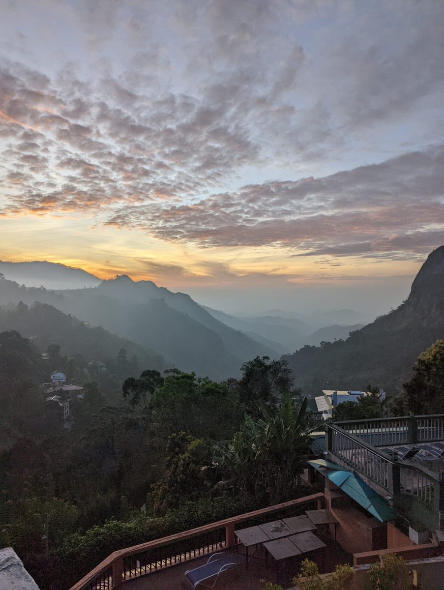 Ted 🤫 tweet media