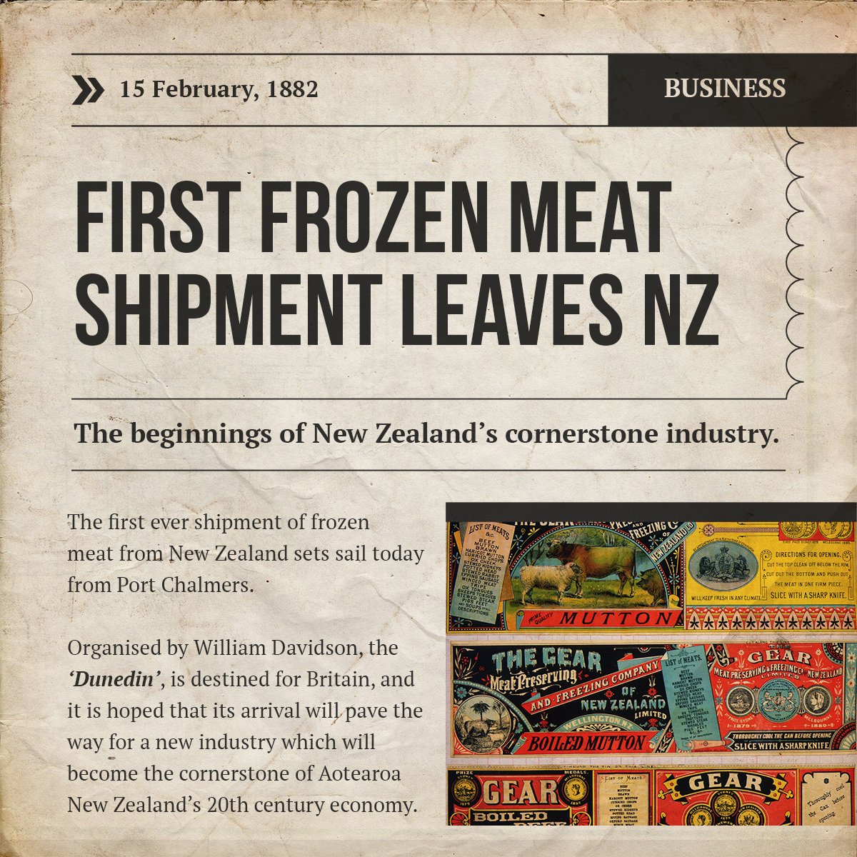 Beef + Lamb New Zealand tweet media