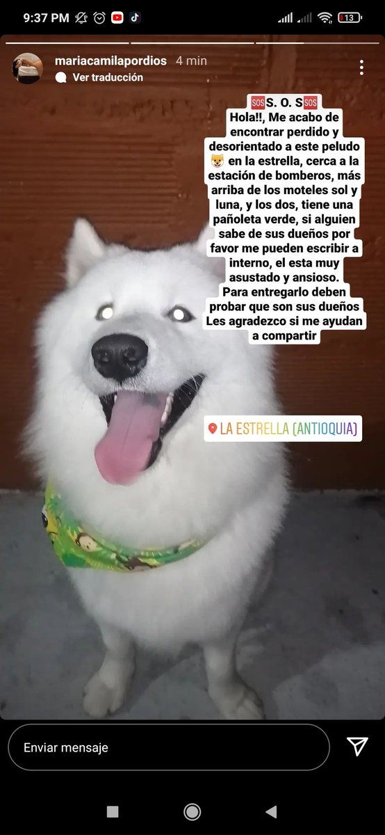 v1121ro21's tweet photo. Se encontraron esta belleza en el municipio de la estrella, Porfa difundamos para que su familia lo encuentre, está muy asustado. https://t.co/hH55y4U9nC