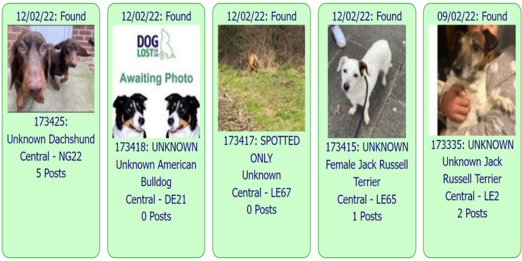 DogLostUK's tweet photo. #FOUND #DOGS * CENTRAL * February 12th ~ February 9th 2022

These #FoundDogs are on the @DogLostUK site as being FOUND in our #Central Area

If you see your dog below go to https://t.co/uP2Qg2dnlk &amp; put the ID NUMBER (shown under the photo) into the search menu for more details https://t.co/iwOji0oIih