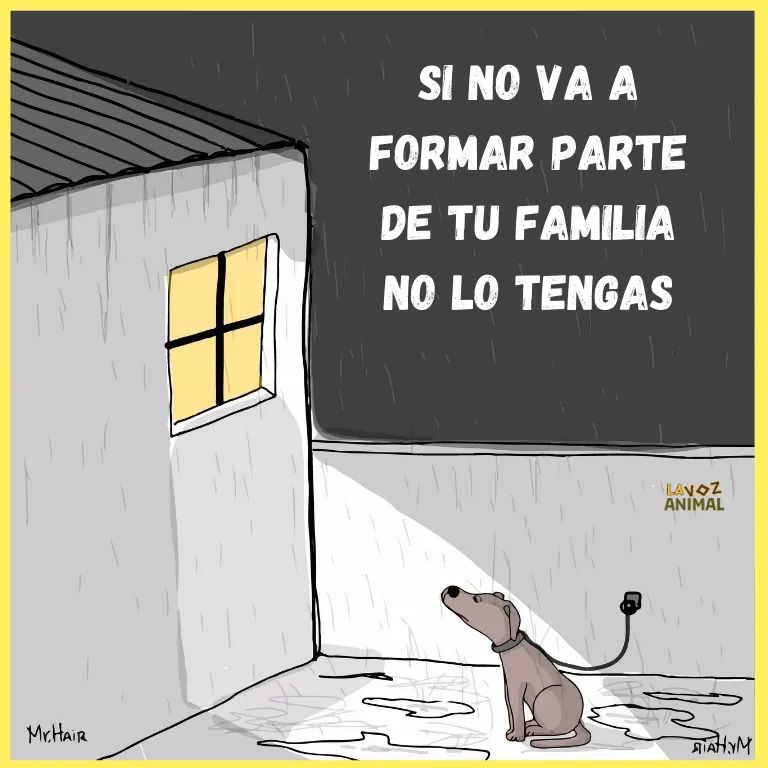 Perroslovers's tweet photo. No es un adorno, el también hace parte de la familia ❤️🐶 https://t.co/obkPpjhLVK