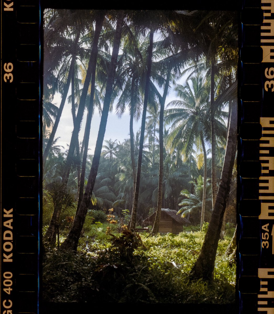 A little #35mm escapism.