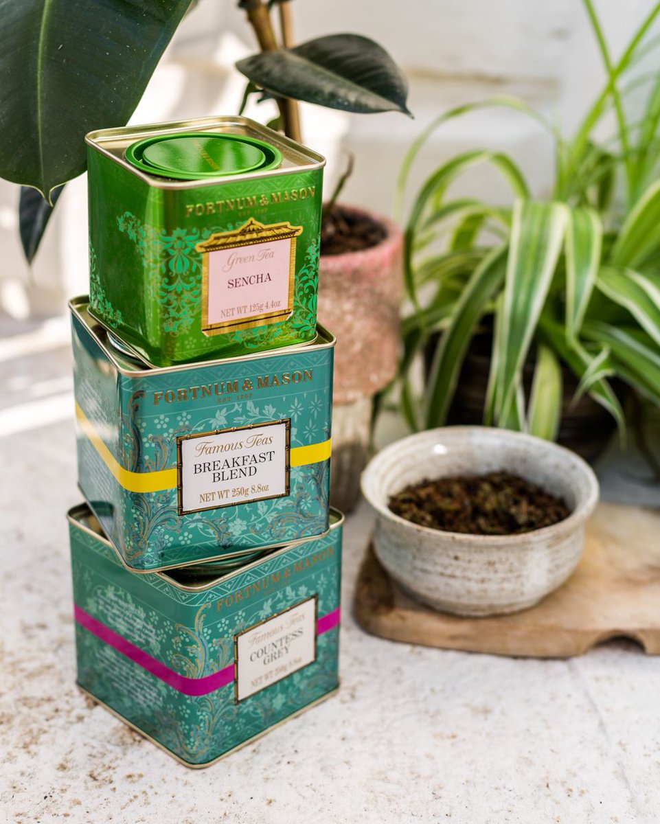 Fortnums's tweet photo. One of the simplest ways to recycle used tea-leaves is as a fertiliser for potted plants or flowerbeds; there's no need to dry them, simply transfer from teapot to plantpot and watch your flowers flourish!
Thirsty for more? Find #FortnumTea Tips here > https://t.co/YTvQRHgyCW https://t.co/2PBlqQdz3E