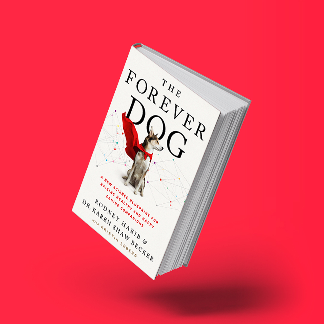 HarperCollinsUK tweet media