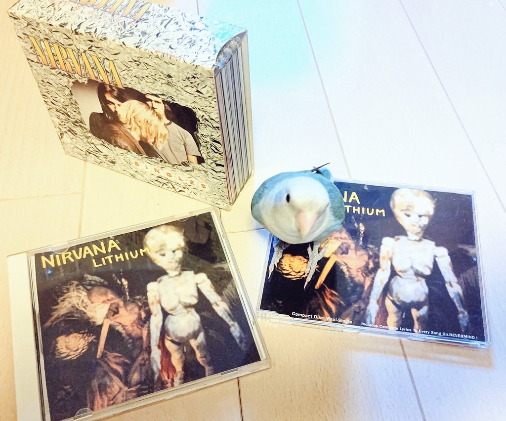 ginrei_mudhoney's tweet photo. 🧒大きな息子が寝てる横で"Been A Son"のベース練習🎸(笑)
特にバンドでやる予定は無い。
次は次男のペンちゃん🐦と遊ぶ時間⏰
#NIRVANA #nirvana
#beenason #son #subpop #grunge #KURTCOBAIN #lovebird #コザクラインコ #こざくらいんこ
https://t.co/r9UOn250Mg