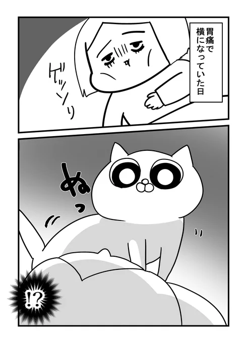 辛い時、動物は寄り添ってくれる 