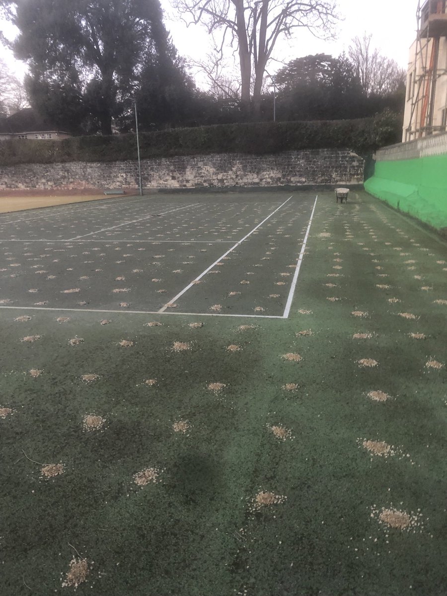 Rich Little Tennis tweet media