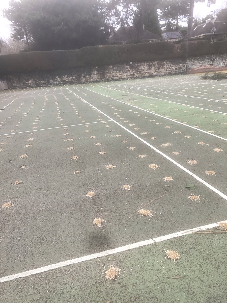 Rich Little Tennis tweet media