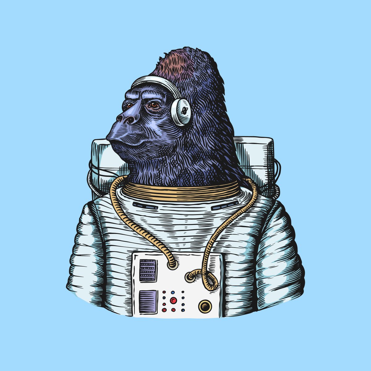 ABalitskii's tweet photo. "Gorilla Monkey Astronaut" is now available on @rarible

🔗 Link:
https://t.co/eGi95Qlq7V

#NFT #NFTdrop #NFTartist #Gorilla #Monkey #Astronaut  #Rarible #ethereumNFT https://t.co/1wtQPWGJxC