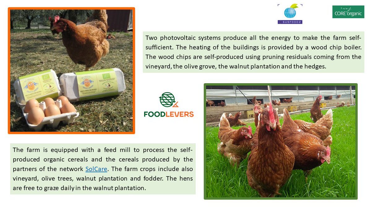 foodlevers's tweet photo. The organic farm Soc. Agr. Cupidi A. and Leonardi R. is located in Central Italy.  The farm has thirty years of experience in poultry farming in producing eggs from the breeding of laying hens. 
#organic #sustainable #FOODLEVERS #food 
You can visit us on https://t.co/dZYjFNnI0M https://t.co/EA1BCWWXYy