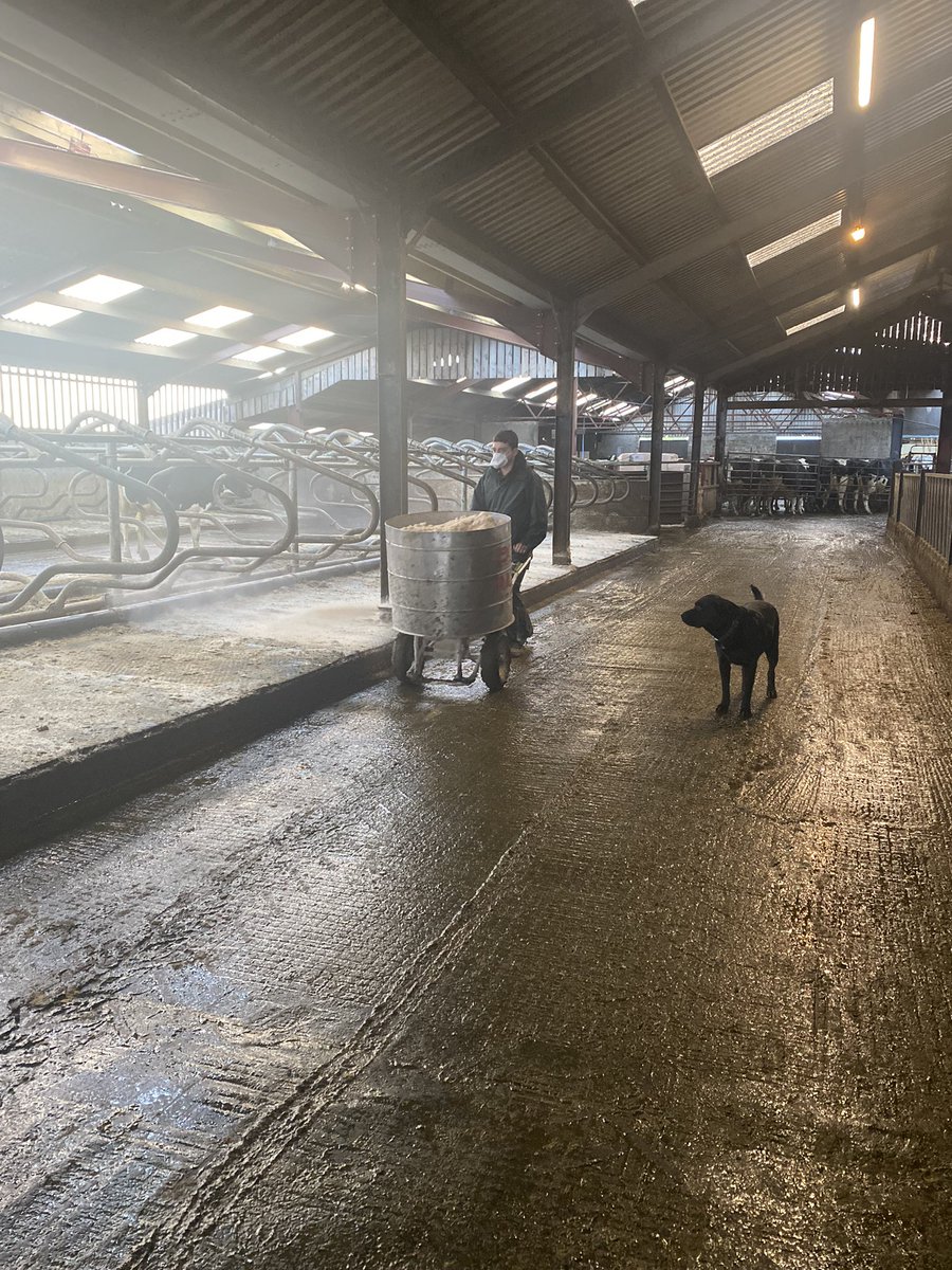 Fantastic afternoon spent with Sarah our Work Based Tutor and Sam one of our Stockperson apprentices on his family farm in Cumbria. Using the @OneFileUK app to record audio and visual evidence. <a href="/My_Apprentice/">Myerscough College</a> <a href="/MyerscoughColl/">Myerscough College & University Centre</a>