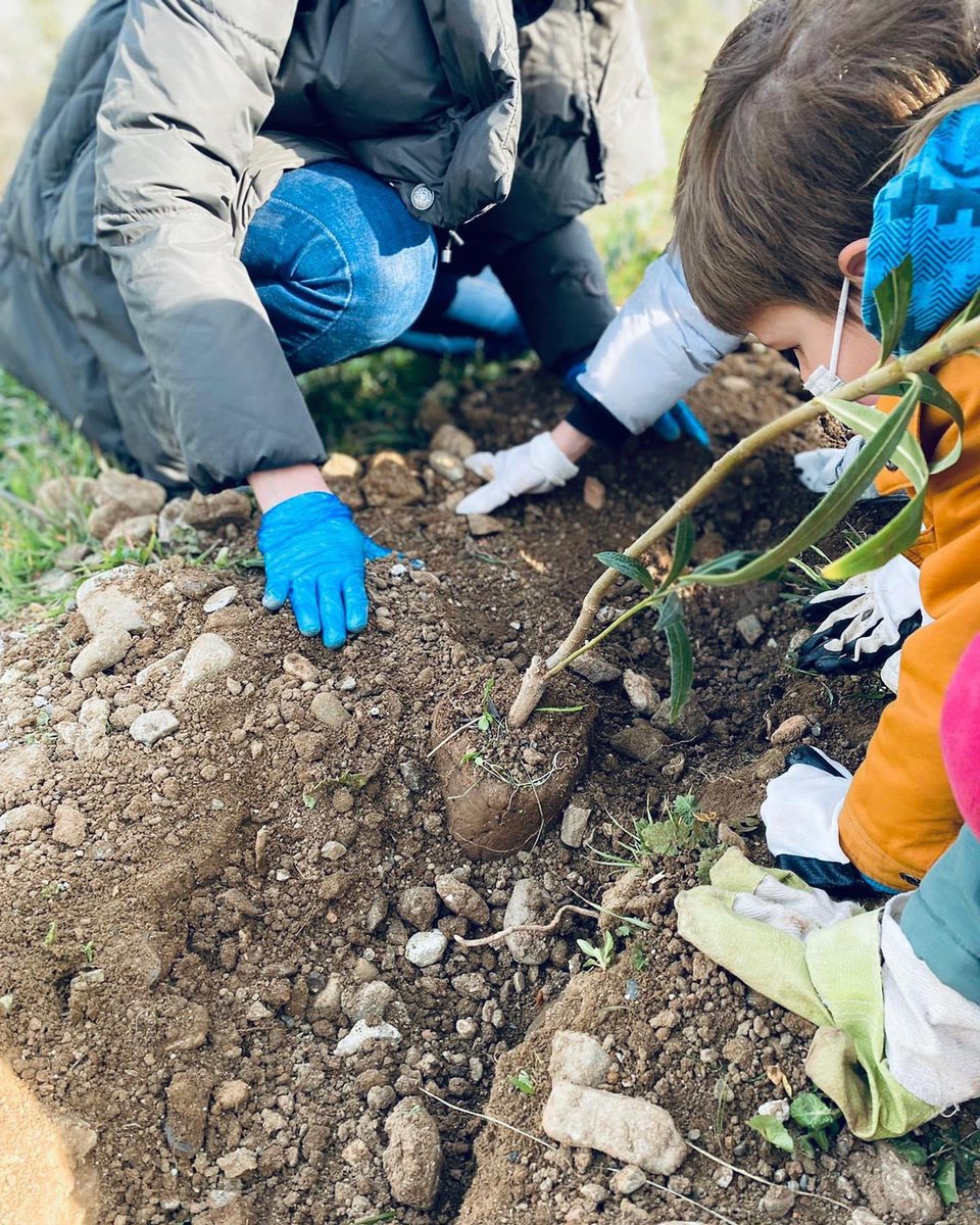 Με μια συγκινητική προσέλευση πάνω από 130 ατόμων, φυτέψαμε περίπου 300 δενδρύλλια στον δήμο  Θέρμης, Θεσσαλονίκης. 

Η δράση έγινε με την υποστήριξη της Accenture Greece  η οποία έχει φυτέψει μαζί μας πάνω από 1500 δέντρα και είναι πολύτιμο μέλος της Συμμαχίας μας.