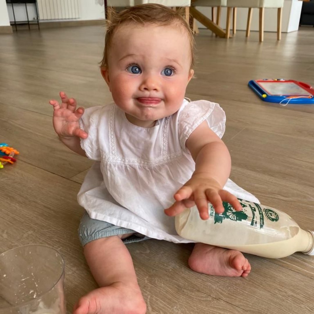 '¡Lo juro! 🤭 Yo no he sido, esa botella de horchata ya estaba por la mitad 🤥'  Nuestra horchata es completamente natural y también sin azúcar, si así lo deseas 🤩 lahorchateria.com❤️ ¡Haz tu pedido hoy y recíbelo mañana! #horchata #orxata #chufa #xufa #monorxata #alboraia