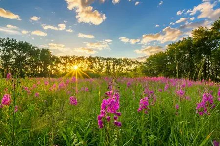 Mehmet84893569's tweet photo. Good morning everyone 🌍🌿 https://t.co/g0jbGiwNz4