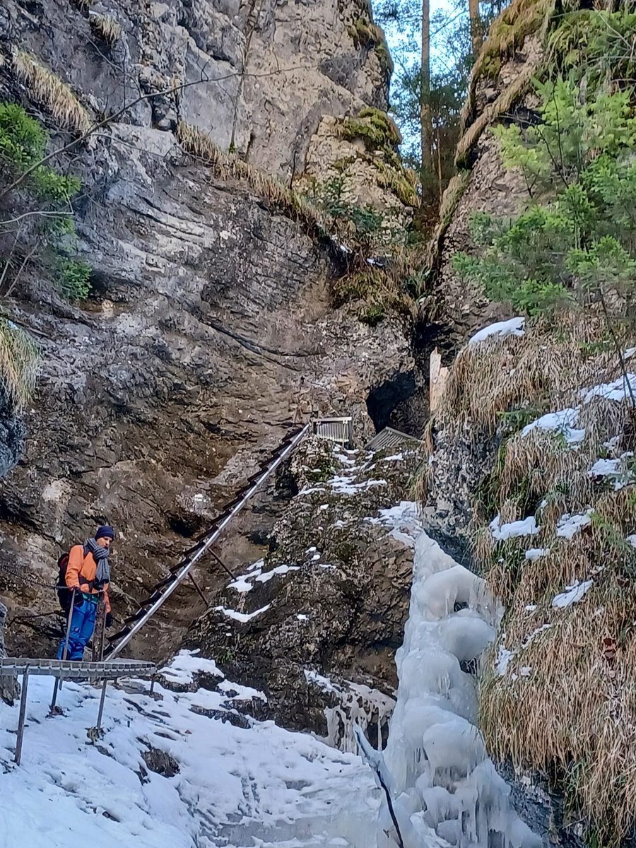 DianaUrge's tweet image. No need to fly around the world to have spectacular nature experiences. 

Not super photos but the experience was amazing.

A winter day hike in the #SlovakParadise #SlovenskiRaj.

Which great nature treasures hide near (even if few hours drive) your home?
#flyless