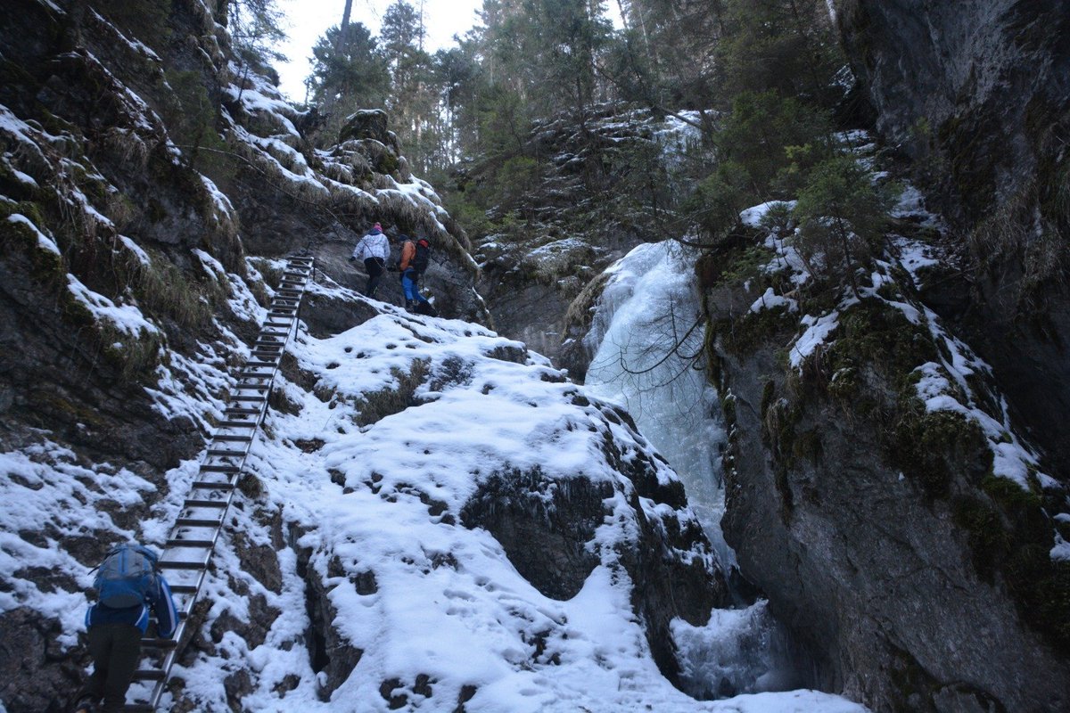DianaUrge's tweet image. No need to fly around the world to have spectacular nature experiences. 

Not super photos but the experience was amazing.

A winter day hike in the #SlovakParadise #SlovenskiRaj.

Which great nature treasures hide near (even if few hours drive) your home?
#flyless