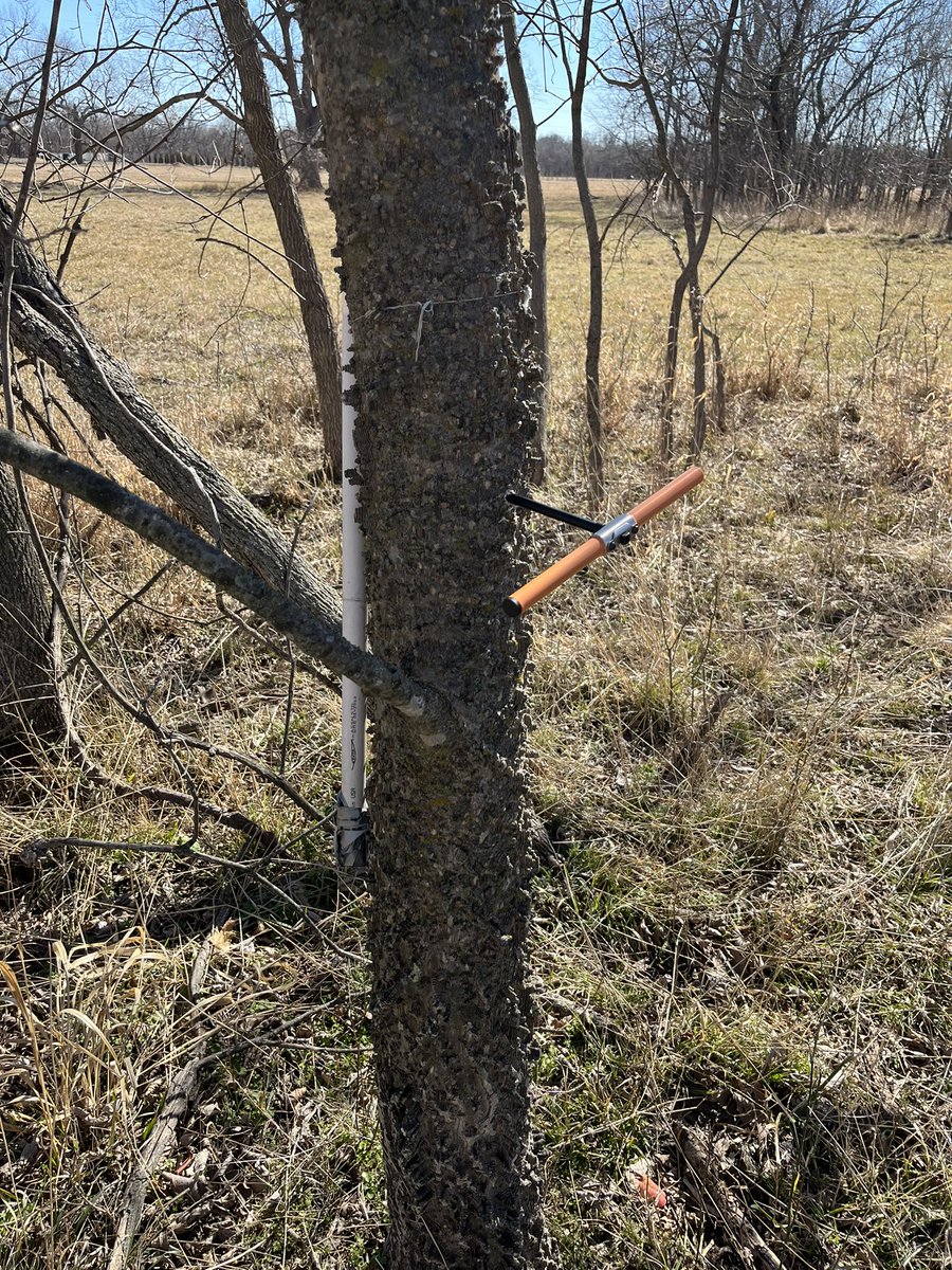 yockfire's tweet photo. Used my lunch break to collect a few cores from the @JenksFERST long-term study site. This #dendrochronology stuff is addictive! https://t.co/BCCIYVB0YG