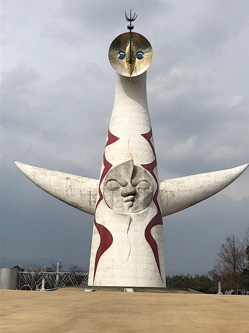 近くで見るんは初めてや 