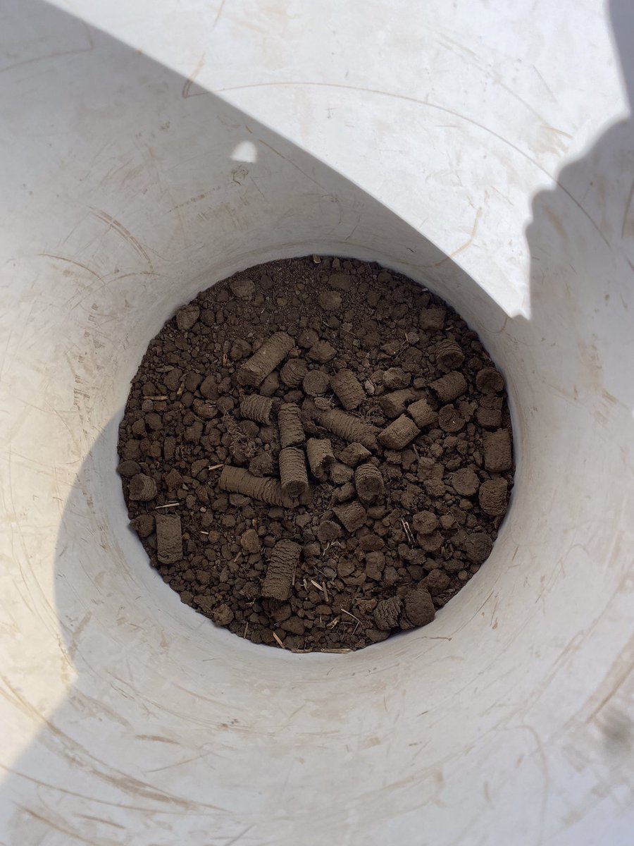 Billy Forrester tweet media