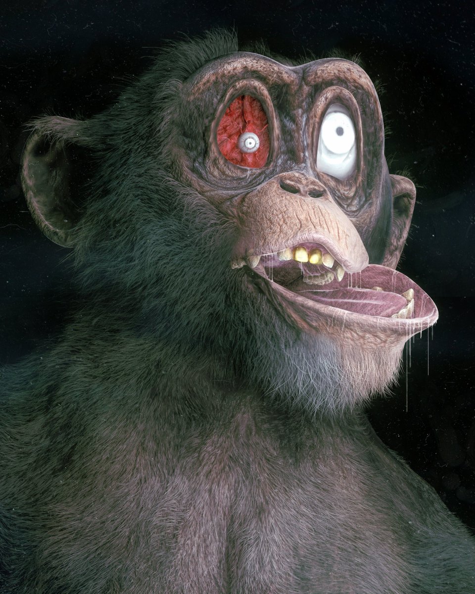 DISINTERESTED PRIMATE NAUTICAL ALLIANCE