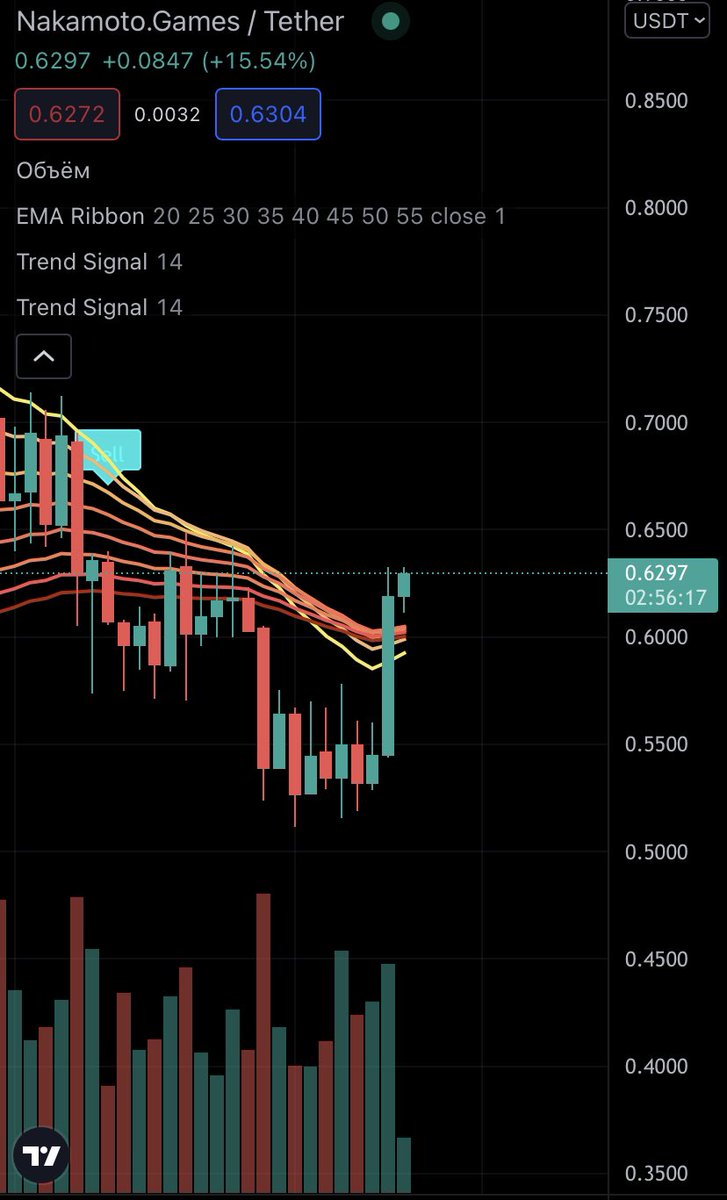 SMurasov's tweet photo. $NAKA 🚀🚀🚀 @NakamotoGames https://t.co/tHeaCuxRY9