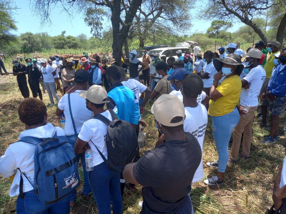 zanupfyl_byo's tweet photo. 50 Youths from Bulawayo received Hieffers under the Presidential Hieffer Pass-on scheme. This is a stepping stone into empowering youths to become Champion farmers & to take part in strategic sectors of the economy.
#LimaSomething
#2022NgumnyakaWamaYouth
#RegisterToVoteZanuPF https://t.co/DB4H4byVbE