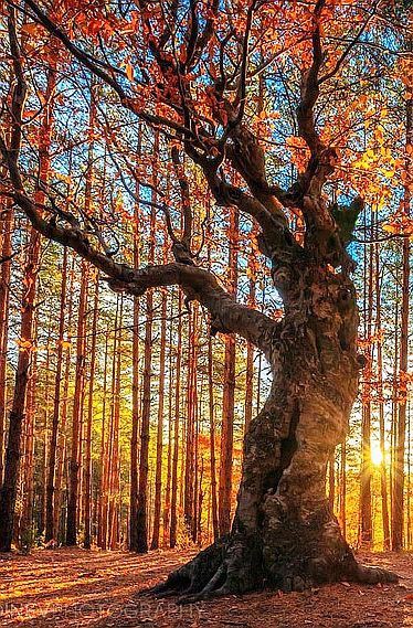 𖨇㋡𝙈𝙄𝘾𝙃𝘼𖦎じ𖦦乃 tweet media