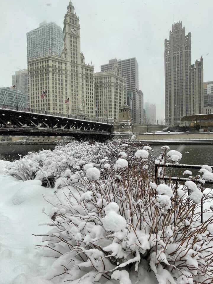 johanowenius's tweet photo. #Chicago #winter Unconsciously, I have been in Chicago for two years I don't want to go out in winter https://t.co/JuDoNxgPkv