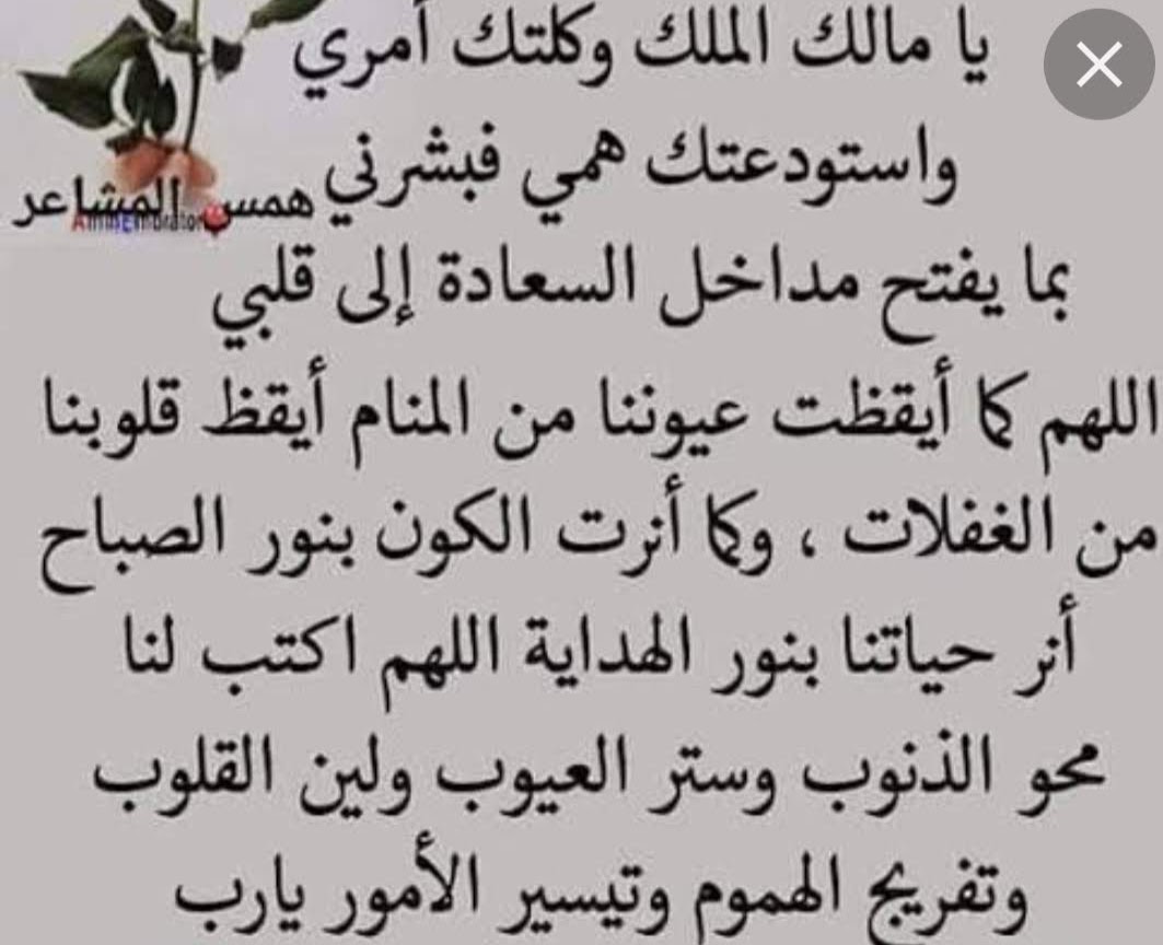 HAldobhani's tweet photo. اسعدالله صباحكم وجعل يومكم خير ورضا https://t.co/BA1EIZGjgG