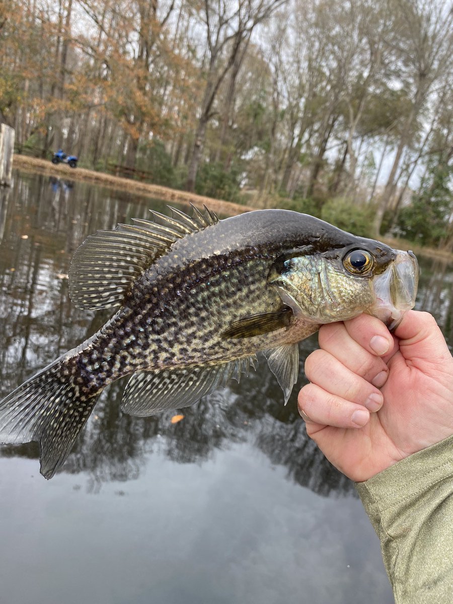 Caught some #slabs over the weekend! #specks #fishing #Country #pond #outdoors