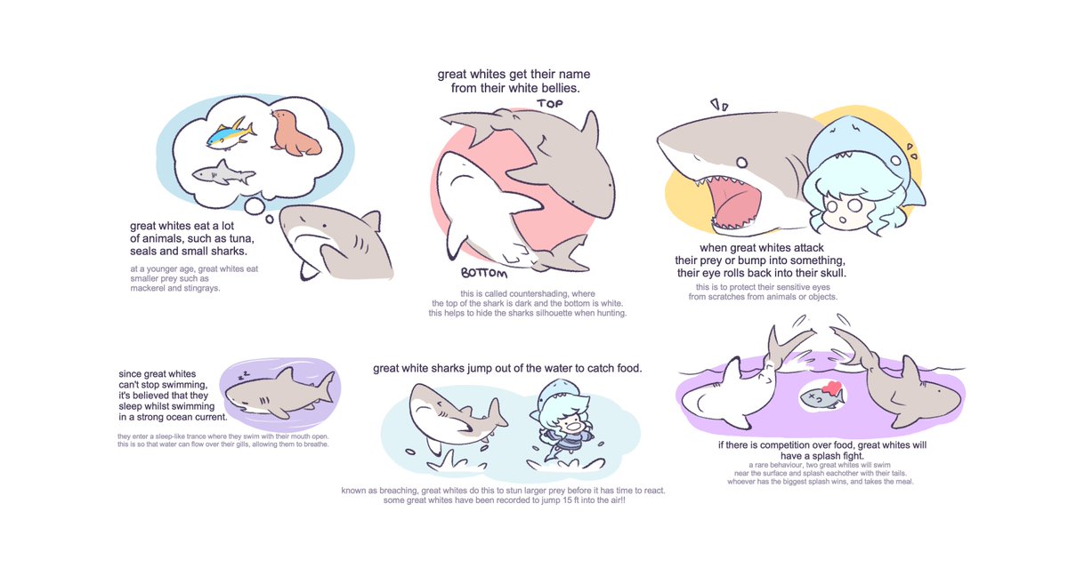 reposting this little series because, upon revisiting it, i have been having thoughts about turning this into a much more expansive guide to not only sharks, but other sea creatures too

what do you think? 